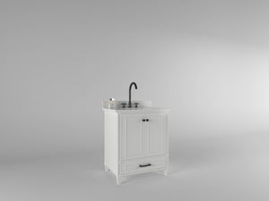 Windsor 30 in All Wood Vanity in Bright White - Cabinet Only Ethan Roth